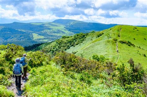 峰種類|霧ヶ峰｜百花繚乱の高山植物を楽しむ高原ハイキング＆登山ルー 